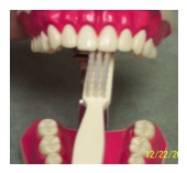 How to brush your teeth How to brush your teeth