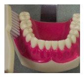 How to brush your teeth How to brush your teeth